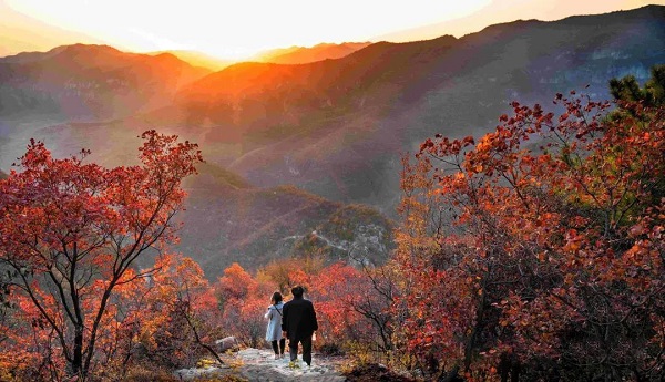 <b>玻璃水滑道_蚌埠花博園景區(qū)項目落地</b>